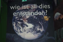 Die Führung beginnt