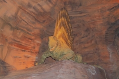 Ein Wüstendino