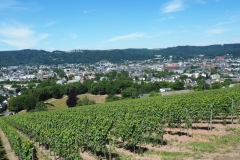 Trier von oben